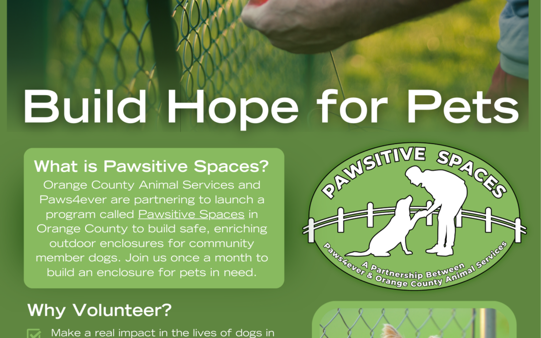 Pawsitive Spaces Volunteer Flyer (3)