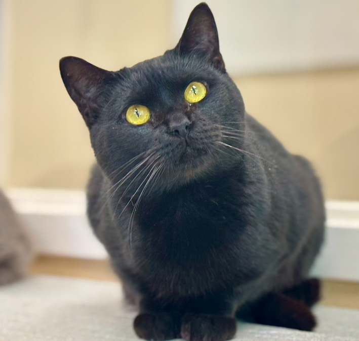 Screen Shot 2026-01-14 at 1.56.33 PM