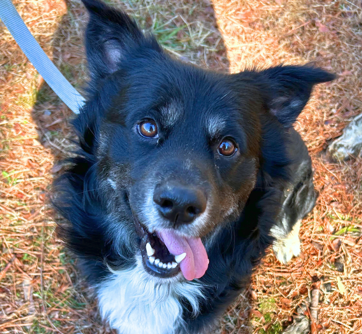 Screen Shot 2026-01-20 at 1.52.11 PM