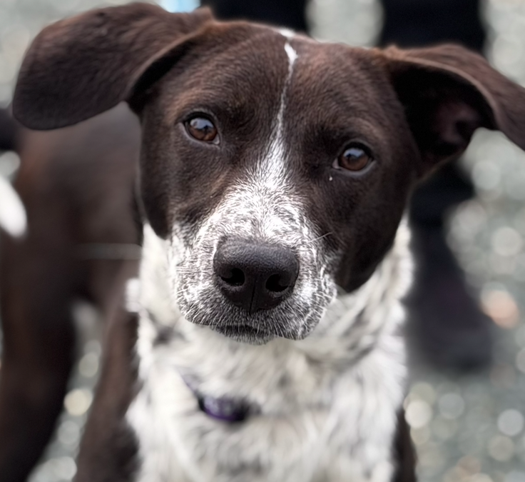 Screen Shot 2026-02-03 at 12.49.30 PM