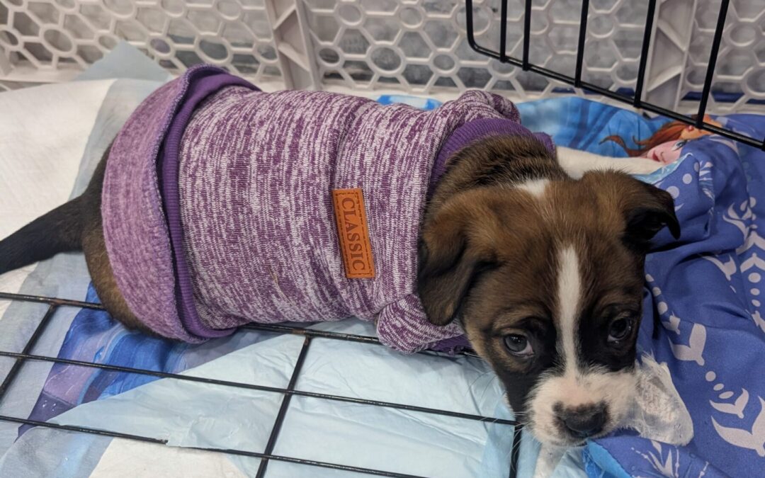 PXL_20260106_235619945