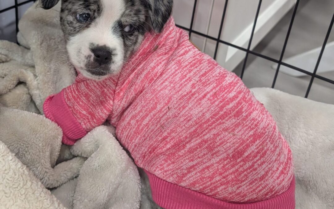 PXL_20260106_235624362