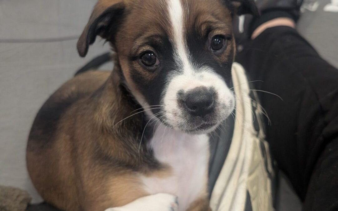 PXL_20260121_190726590