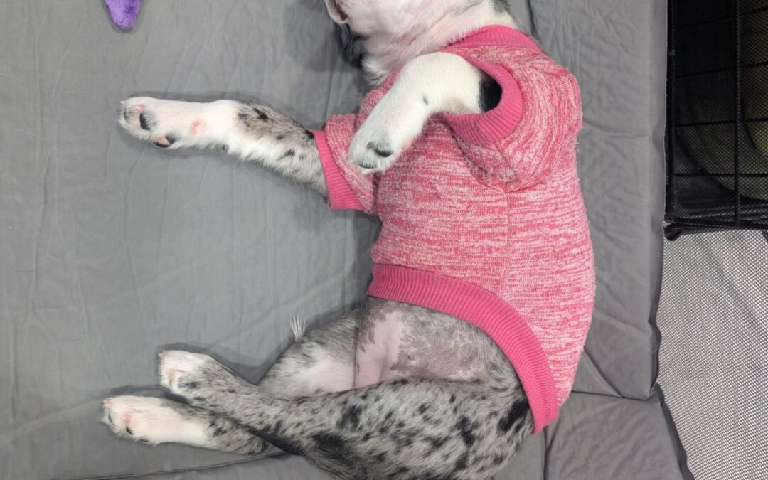 PXL_20260125_201507627