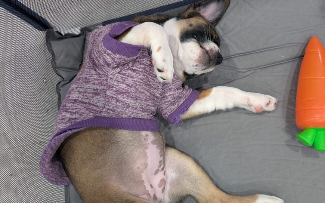 PXL_20260125_202049093