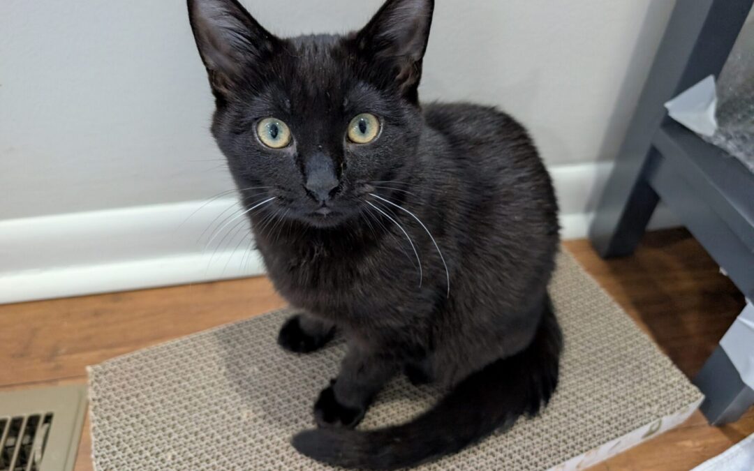 PXL_20260129_132728844