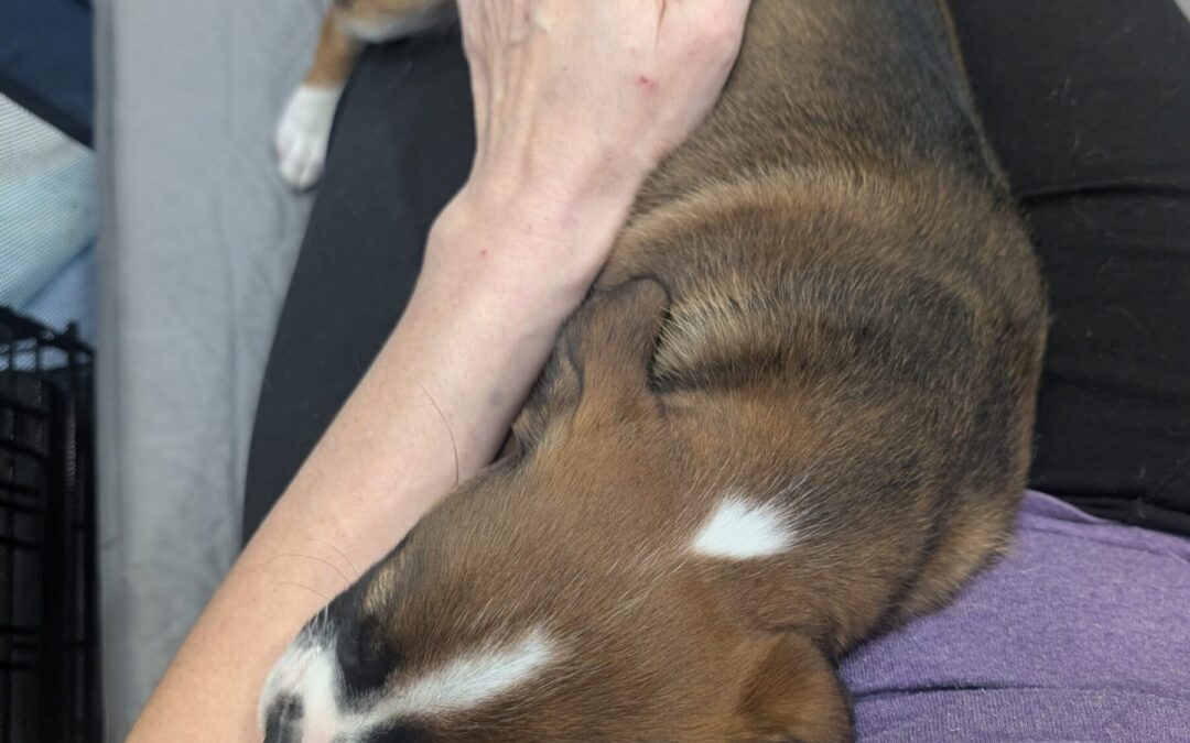 PXL_20260202_010708263