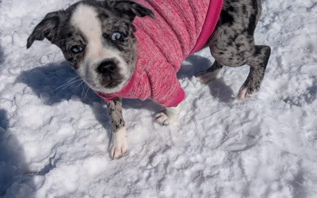 PXL_20260202_175406925