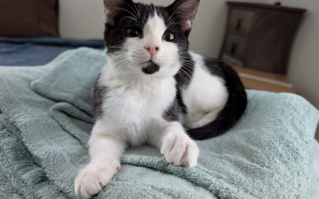 PXL_20260202_185958331