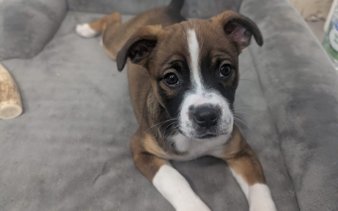 PXL_20260204_220414425