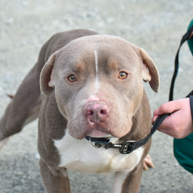 Screen Shot 2026-02-24 at 6.02.36 PM