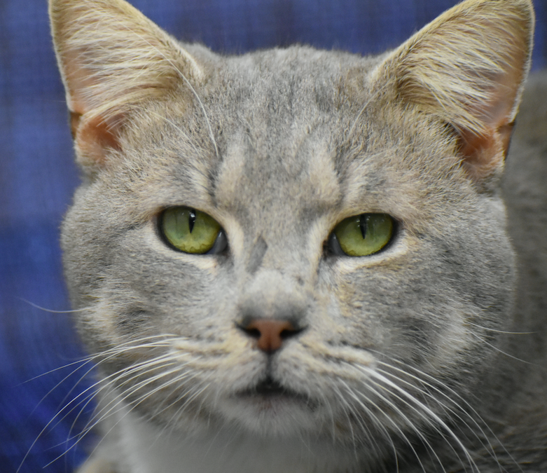 Screen Shot 2026-02-24 at 6.35.08 PM