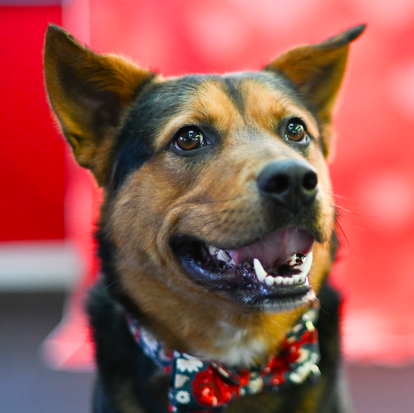 Screen Shot 2026-02-24 at 6.55.27 PM