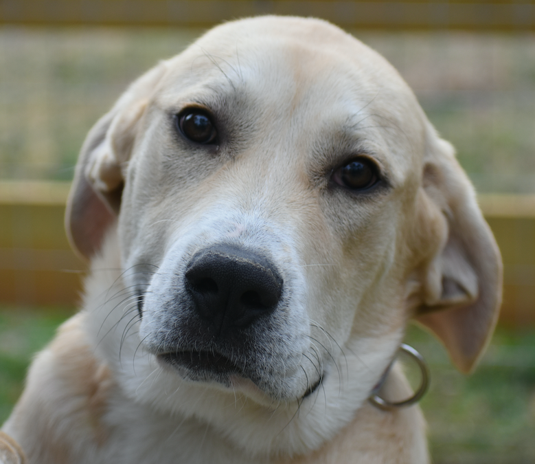 Screen Shot 2026-02-25 at 6.27.34 PM