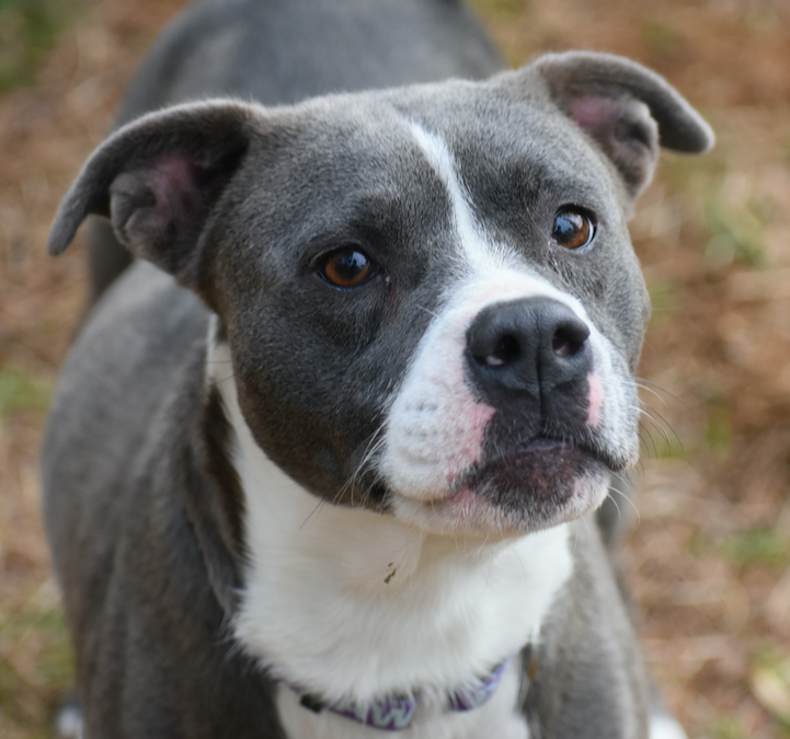 Screen Shot 2026-02-25 at 6.31.41 PM