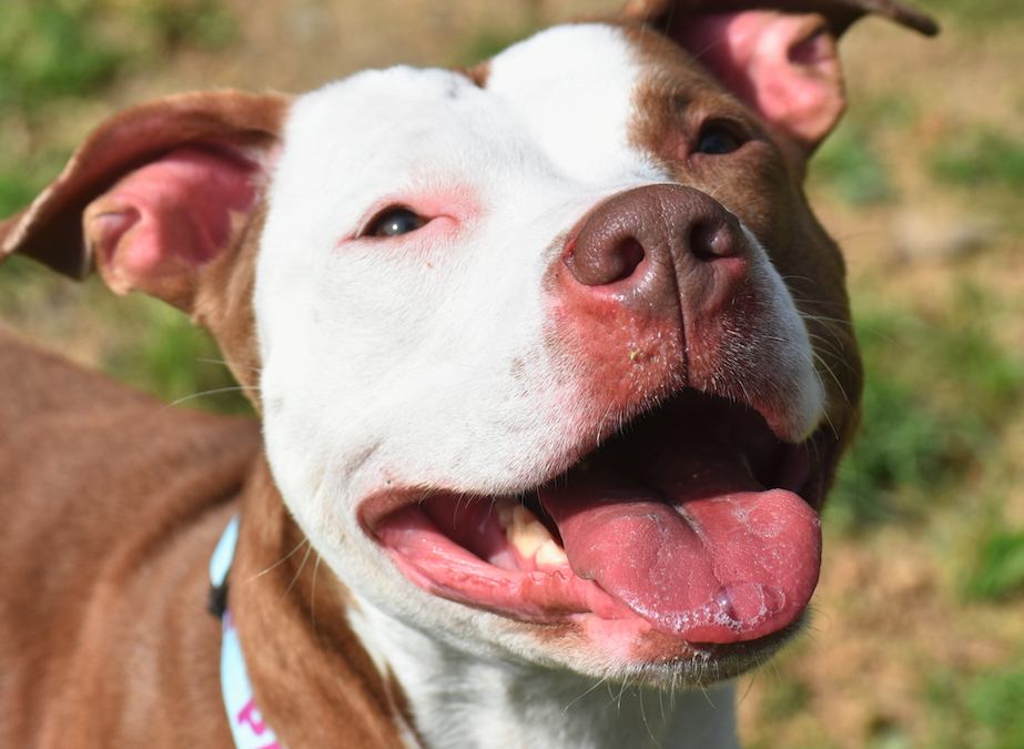 Screen Shot 2026-03-25 at 5.24.00 PM