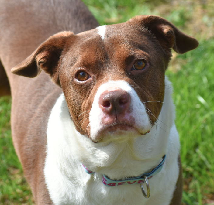 Screen Shot 2026-03-25 at 5.49.36 PM