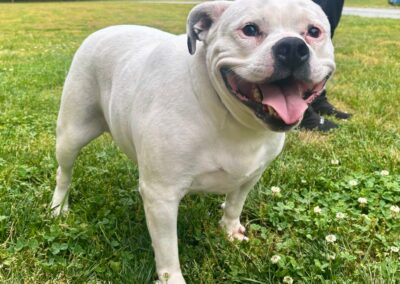 Gertrude