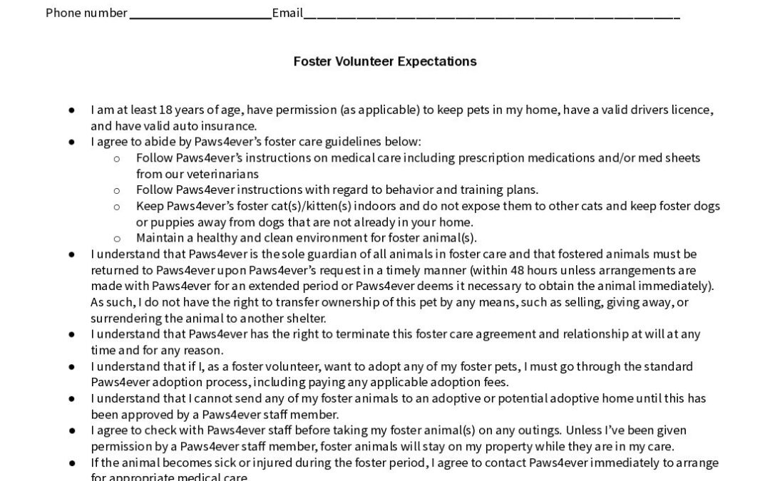 Foster Contract_2025.docx (1)
