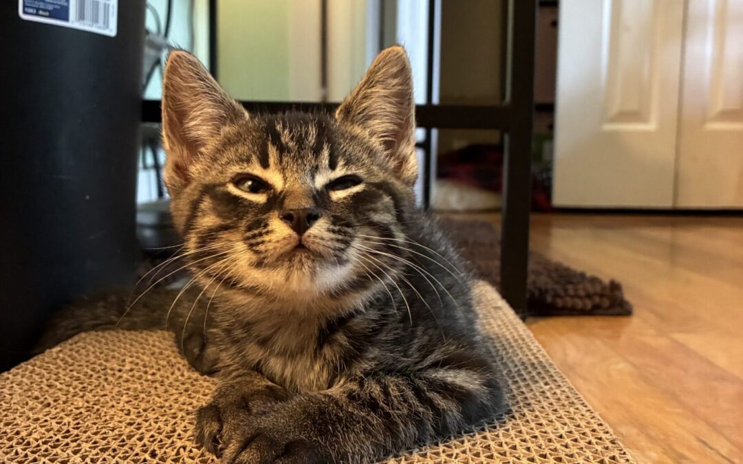 IMG_1856