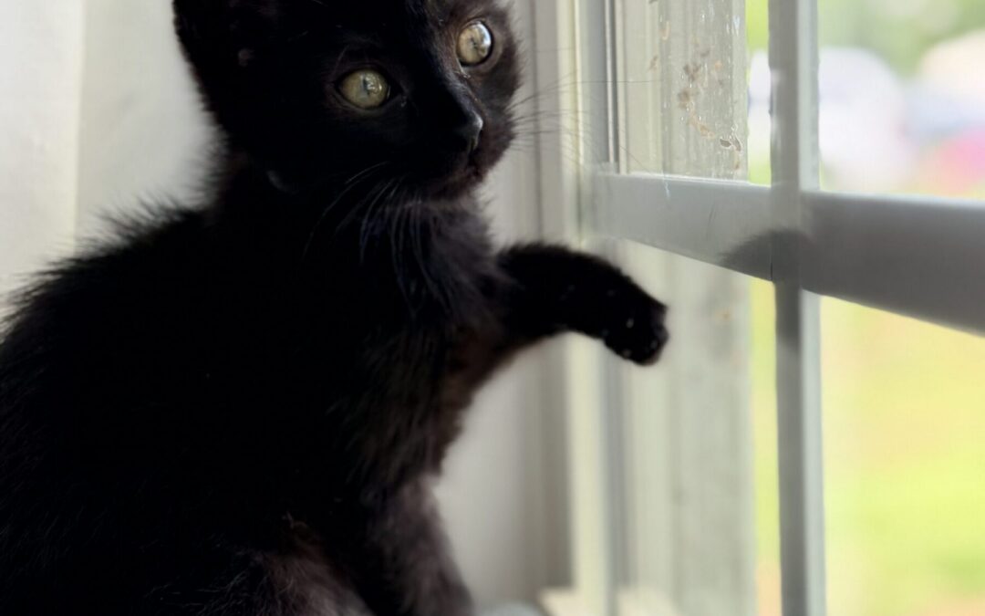 IMG_7281