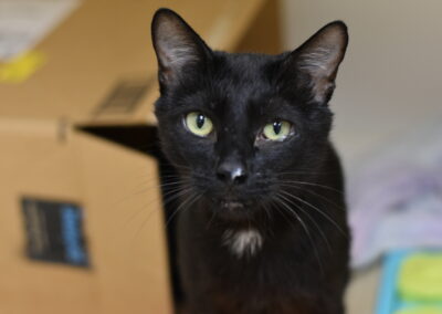 Mitzi
