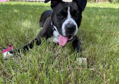 Mia