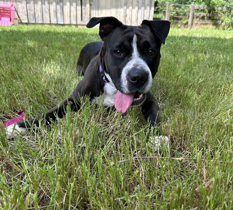Mia