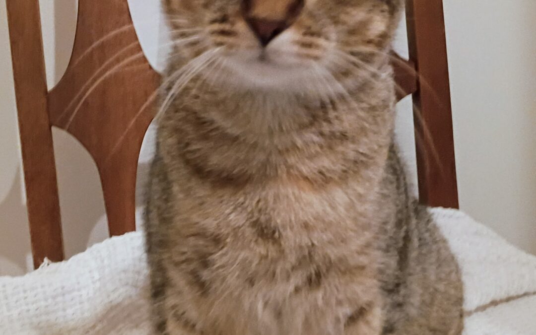Caramel
