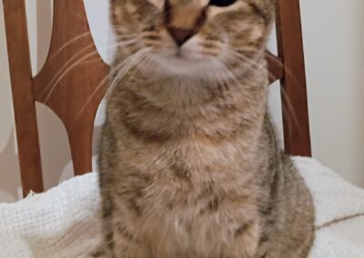 Caramel