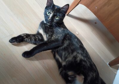 Patti