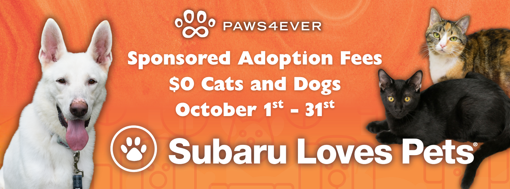 Bissell Reduced Adoptions
